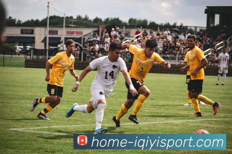 多媒体互动体验